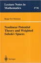 Nonlinear Potential Theory and Weighted Sobolev Spaces  