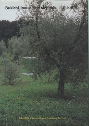 井上武吉　Bukichi Inoue/ My Sky Hole　1996  