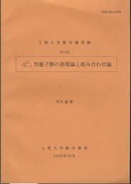 A(1)r-1型量子群の表現論と組み合わせ論  