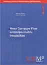 Mean Curvature Flow and Isoperimetric Inequalities  