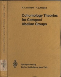 Cohomology Theories for Compact Abelian Groups (Hard)  