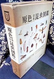 原色日本昆虫図鑑　下　全改訂新版  