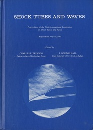 Shock Tubes and Waves Proceedings of the 13th International Symposium on Shock Tubes and Waves Niagara Falls, July 6-9, 1981