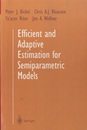 Efficient and Adaptive Estimation for Semiparametric Models (Soft)  