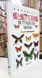 蝶と蛾の写真図鑑　完璧版 オールカラー世界の蝶と蛾500 