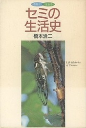 セミの生活史  
