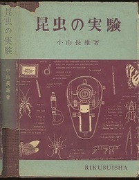 昆虫の実験  