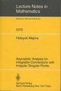 Asymptotic Analysis for Integrable Connections with Irregular Singular Points  