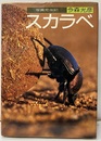 写真昆虫記　スカラベ  