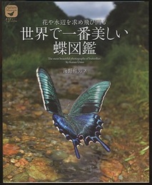 花や水辺を求め飛び回る世界で一番美しい蝶図鑑  
