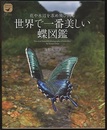 花や水辺を求め飛び回る世界で一番美しい蝶図鑑  