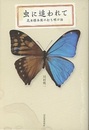 虫に追われて 昆虫標本商の打ち明け話 