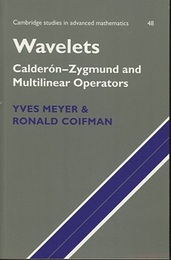 Wavelets (soft) Calderon-Zygmund and Multilinear Operators 