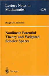 Nonlinear Potential Theory and Weighted Sobolev Spaces  