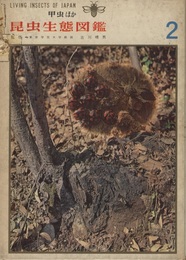昆虫生態図鑑　2　甲虫ほか  