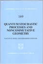 Quantum Stochastic Processes and Noncommutative Geometry  