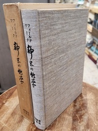 フィールドワーク　静岡の地学  