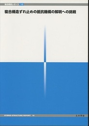 複合構造ずれ止めの抵抗機構の解明への挑戦  