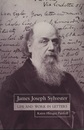 James Joseph Sylvester : Life and Work in Letters (Hard)  
