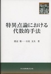 特異点論における代数的手法  