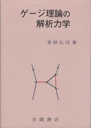 ゲージ理論の解析力学  