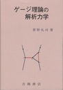 ゲージ理論の解析力学  