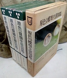 原色日本蝶類生態図鑑　全4巻  