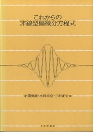 これからの非線型偏微分方程式  