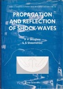 Propagation and Reflection of Shock Waves  