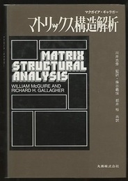 マトリックス構造解析  