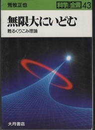 無限大にいどむ 甦るくりこみ理論 