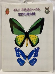 美しく、不思議ないのち　世界の昆虫博  