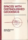 Spaces with Distinguished Geodesics  