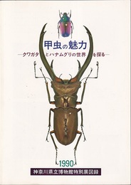甲虫の魅力 クワガタとハナムグリの世界を探る 