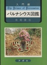 入門編　パルナシウス図鑑  