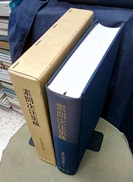 黄帝内経研究叢書 3：素問次注集疏（2）  