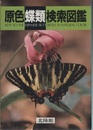 原色蝶類検索図鑑  