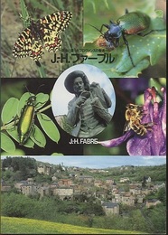 J.-H.ファーブル　昆虫と語ったプロヴァンスの聖者  