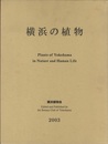 横浜の植物  