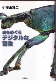 虫をめぐるデジタルな冒険  