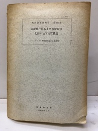 武蔵野台地および多摩丘陵北部の地下地質構造 とくにさく井検層記録による研究 