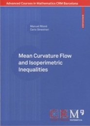 Mean Curvature Flow and Isoperimetric Inequalities  