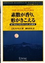素数が香り、形がきこえる 目で見る2次形式からはじまる数学 