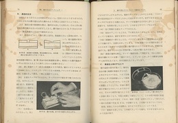 新しい昆虫採集　上　旧版  