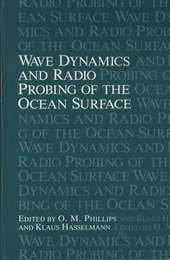 Wave Dynamics and Radio Probing of the Ocean Surface (Hard)  