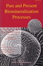 Past and Present Biomineralization Processes Considerations about the Carbonate Cycle IUCN - COE Workshop, Monaco, 15-16 November 1993