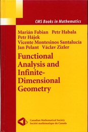 Functional Analysis and Infinite-Dimensional Geometry  