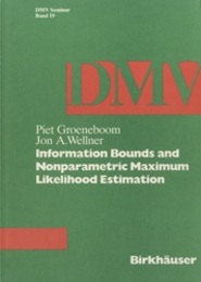 Information Bounds and Nonparametric Maximum Likelihood Estimation  