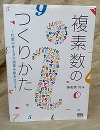 複素数のつくりかた 代数の考え方で演算を組み立てる 