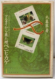 アルタイから来た蝶 ベニヒカゲ  